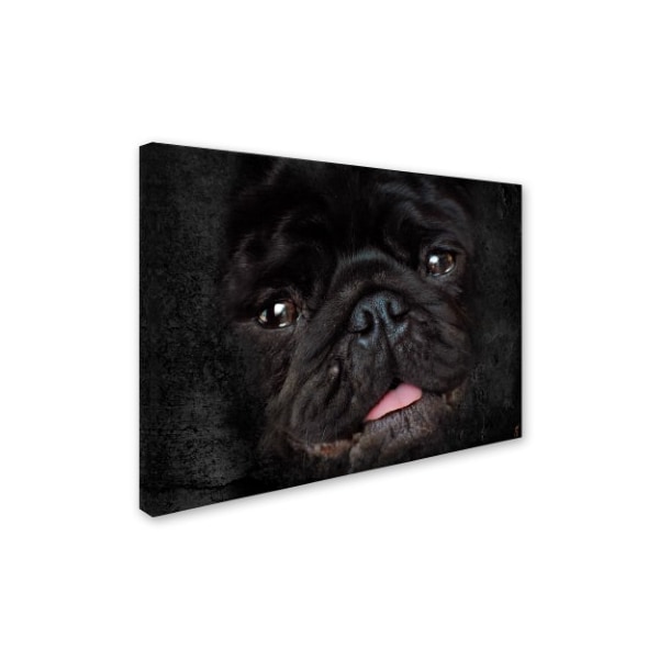 Jai Johnson 'Black Pug Portrait' Canvas Art,24x32